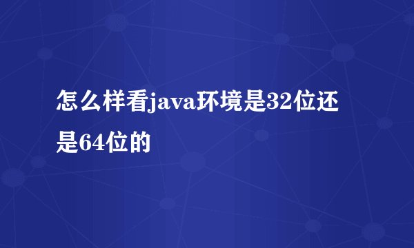 怎么样看java环境是32位还是64位的