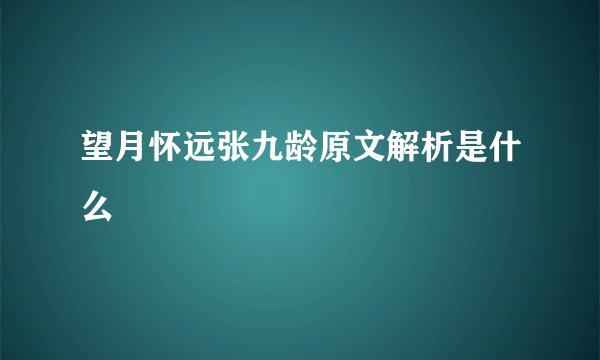 望月怀远张九龄原文解析是什么