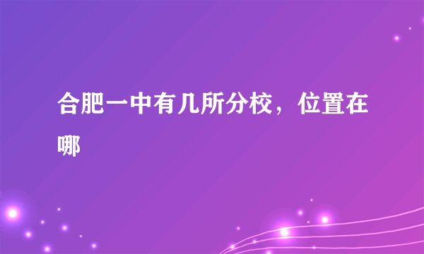 合肥一中有几所分校，位置在哪