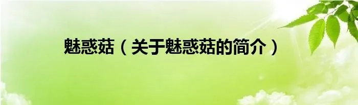 魅惑菇（关于魅惑菇的简介）