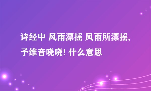 诗经中 风雨漂摇 风雨所漂摇,予维音哓哓! 什么意思