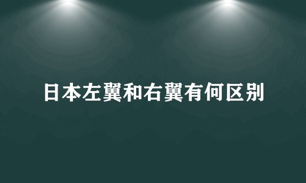 日本左翼和右翼有何区别