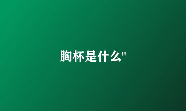 胸杯是什么