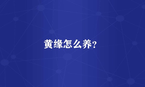 黄缘怎么养？