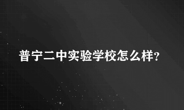 普宁二中实验学校怎么样？