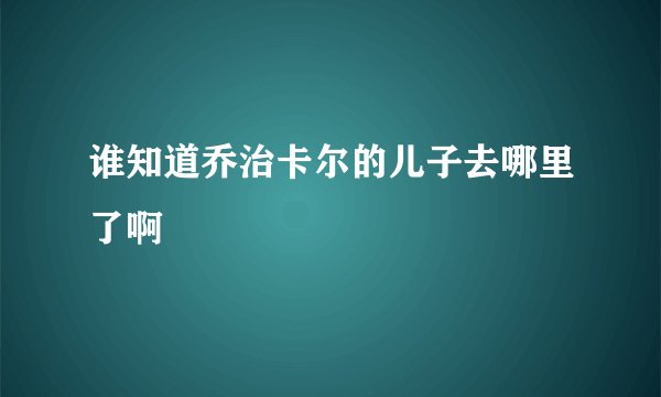 谁知道乔治卡尔的儿子去哪里了啊