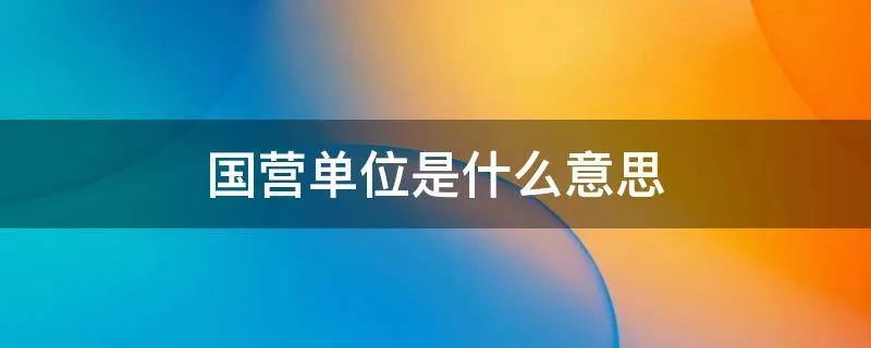 国营单位是什么意思