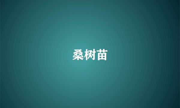 桑树苗