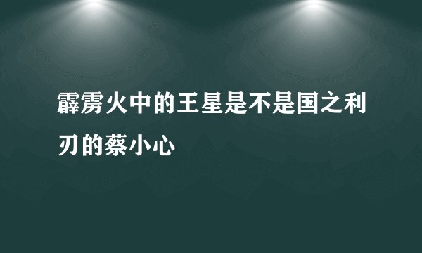 霹雳火中的王星是不是国之利刃的蔡小心