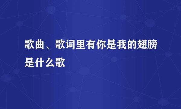 歌曲、歌词里有你是我的翅膀是什么歌