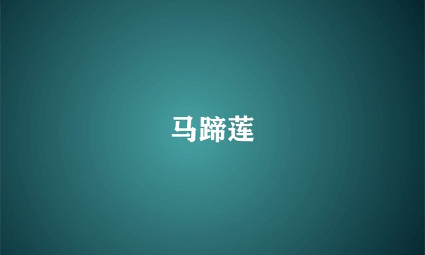 马蹄莲