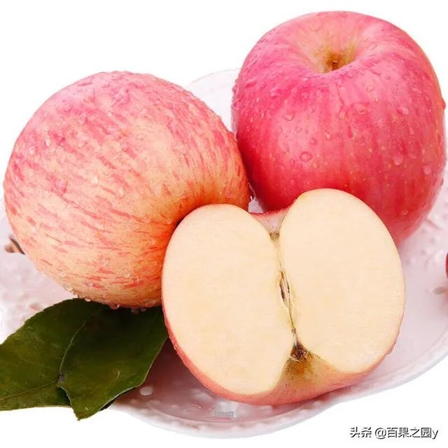 进入9月份了中晚熟水果陆续进入成熟采摘期，可是今年的水果价格怎么这么低？