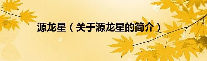 源龙星（关于源龙星的简介）