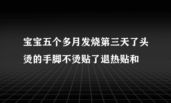 宝宝五个多月发烧第三天了头烫的手脚不烫贴了退热贴和