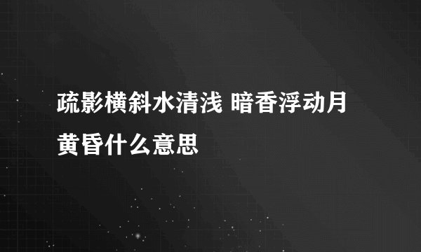 疏影横斜水清浅 暗香浮动月黄昏什么意思