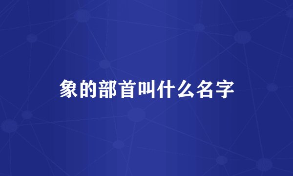 象的部首叫什么名字